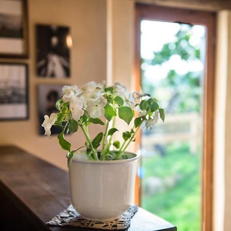 Bed and Breakfast Torre Nel Chianti Greve in Chianti Exterior foto